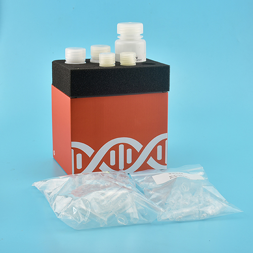 DNA產物純化試劑盒（官網）.jpg