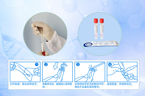 1585387009853286.jpg 微信主圖.jpg