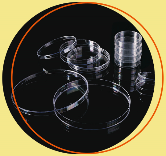 1597737169762831.jpg 皿.jpg