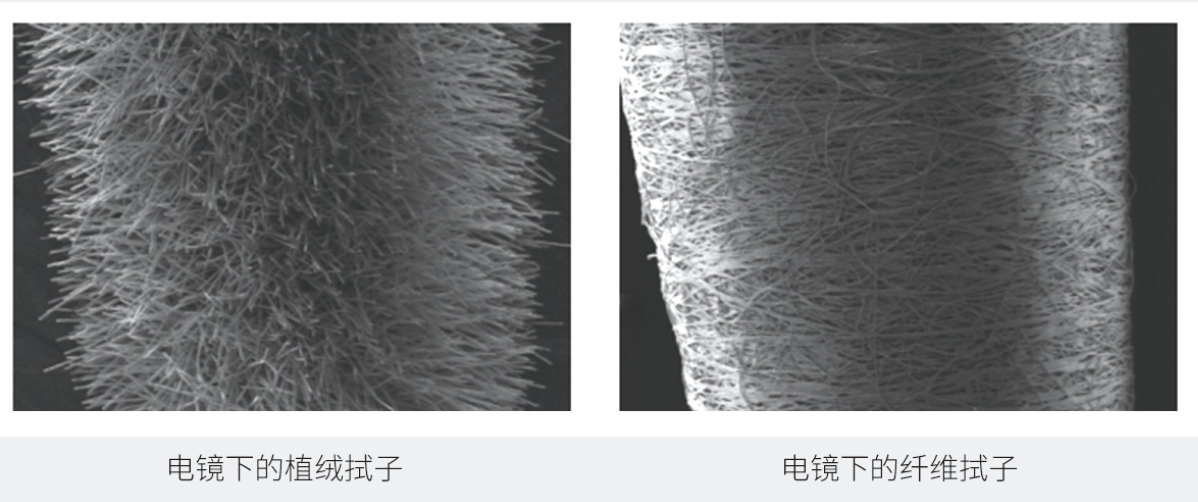 1603698502111746.png 3.png