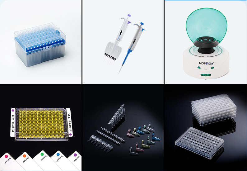 1628668528222221.jpg 3.jpg