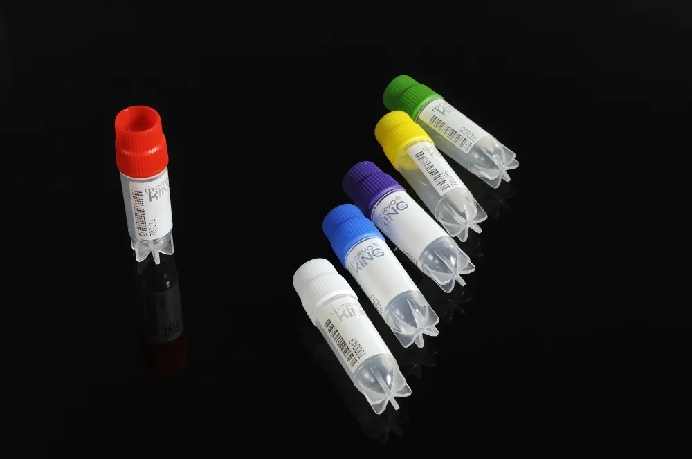 1637910183409369.jpg 640.webp.jpg