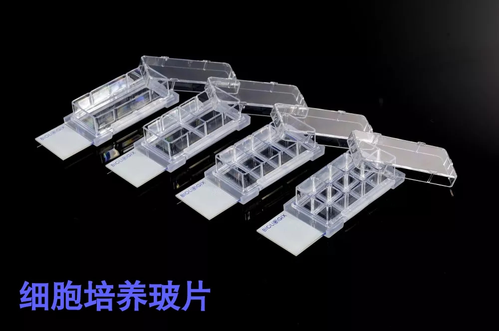 1637911277936851.jpg 640.webp (1).jpg