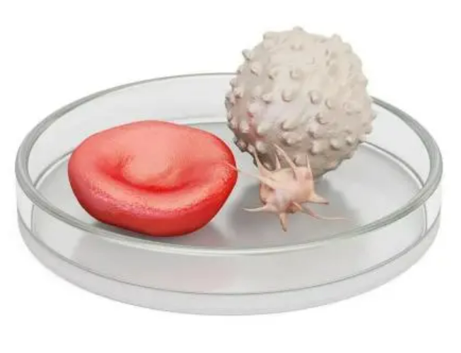 1667792446788668.png 微信圖片_20221107105005.png