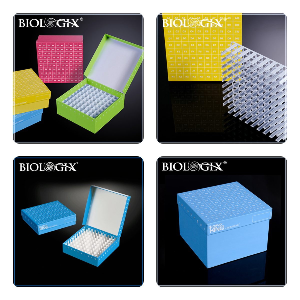 1668697549115255.png 迅捷圖片轉(zhuǎn)換器-20221117-1668697512120.png