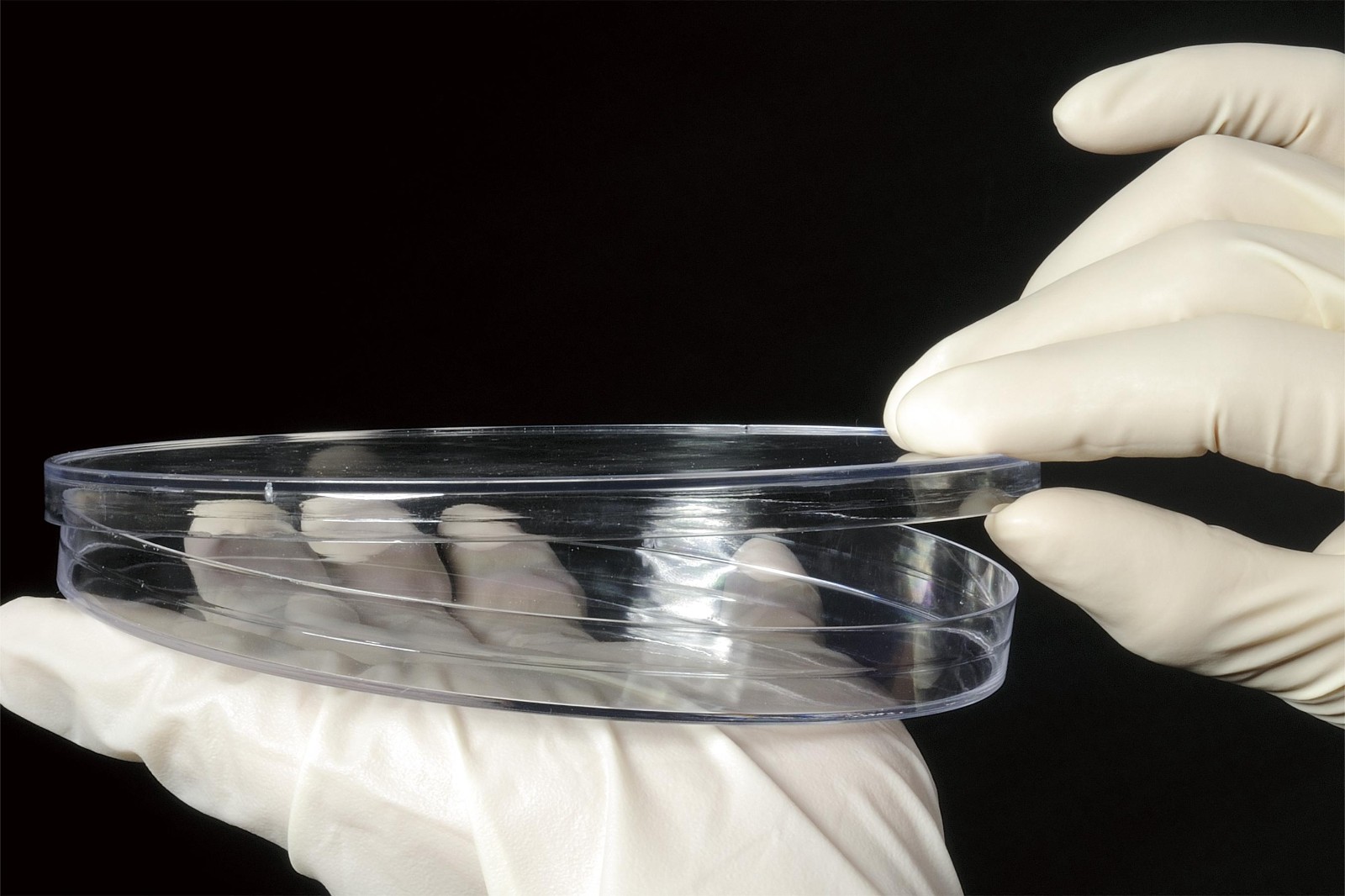 1700470299968019.jpg 1700470299968019.jpg