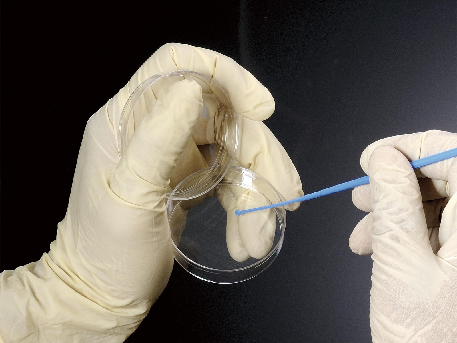 1700470528657818.jpg 1700470528657818.jpg