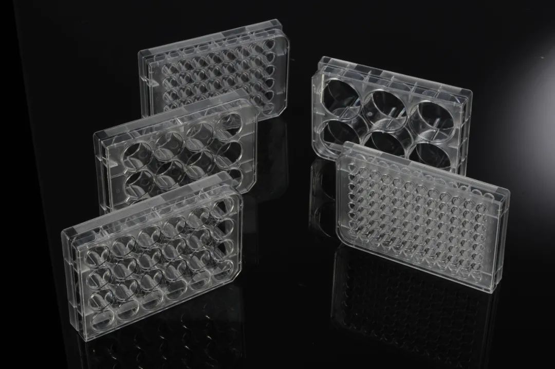 1709288282892876.jpg 1709288282892876.jpg