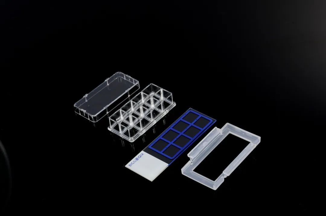 1709288354528043.jpg 1709288354528043.jpg