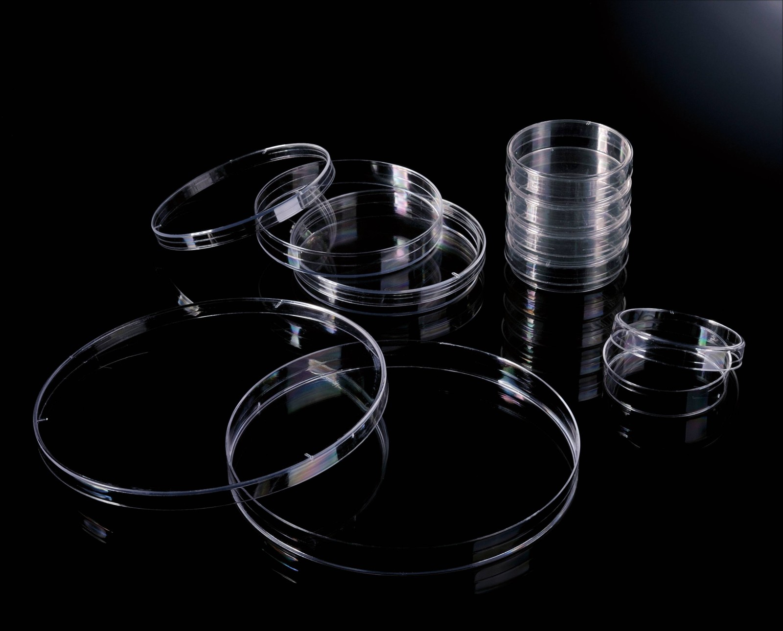 1709887383199277.jpg 1709887383199277.jpg