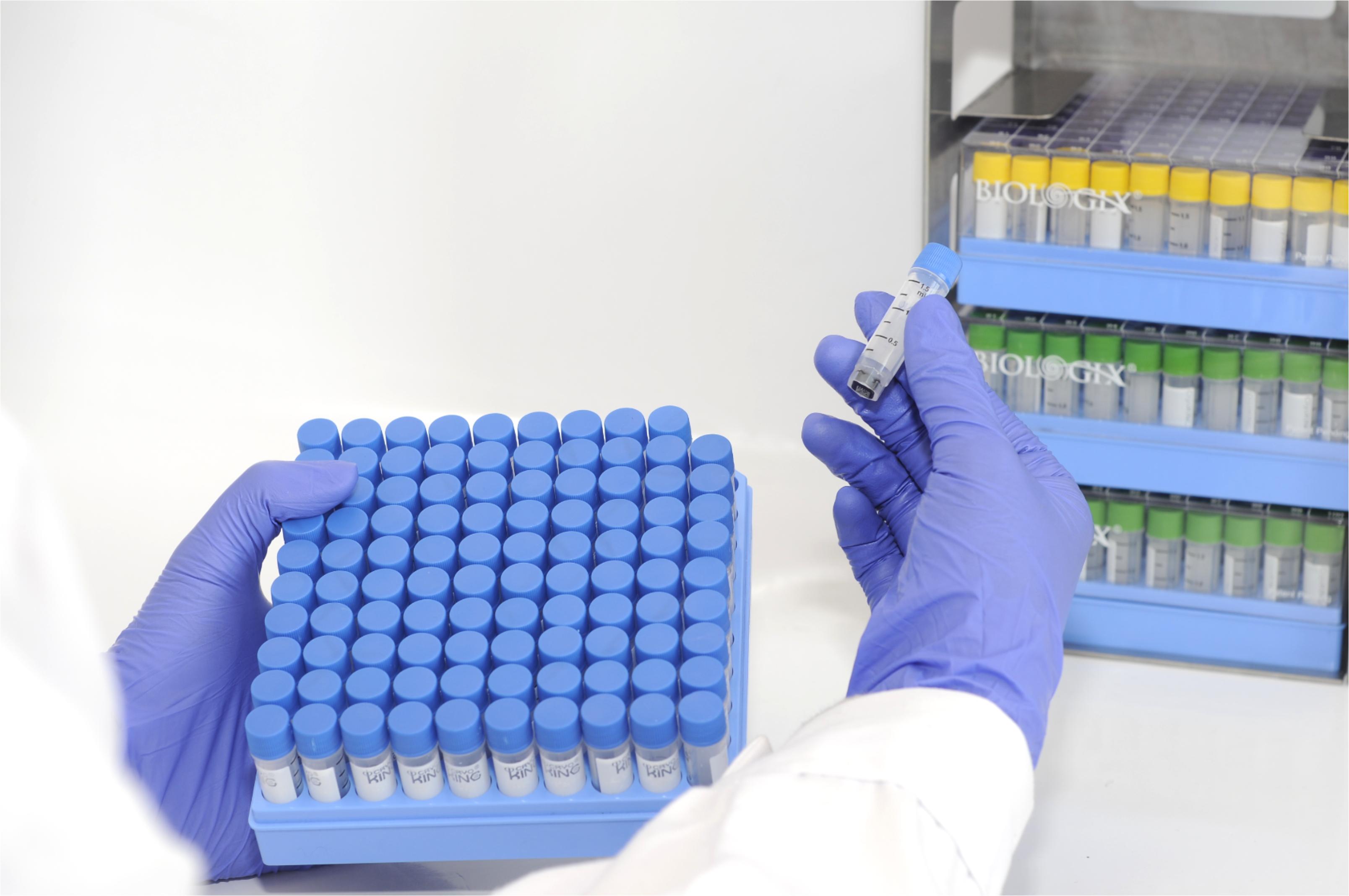 1710826156548977.jpg 1710826156548977.jpg