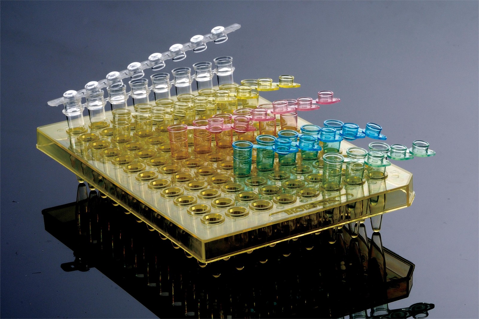 1711088376113465.jpg 1711088376113465.jpg