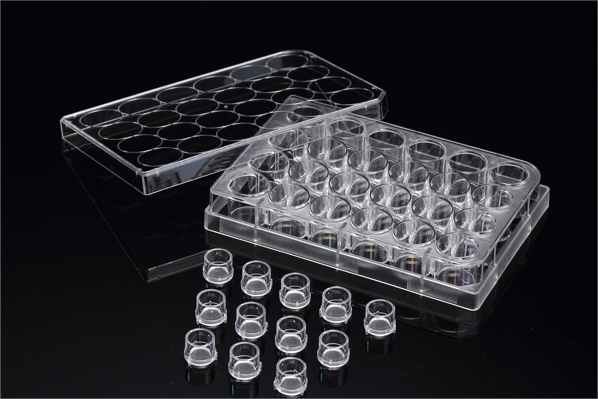 1711088377515629.png 1711088377515629.png