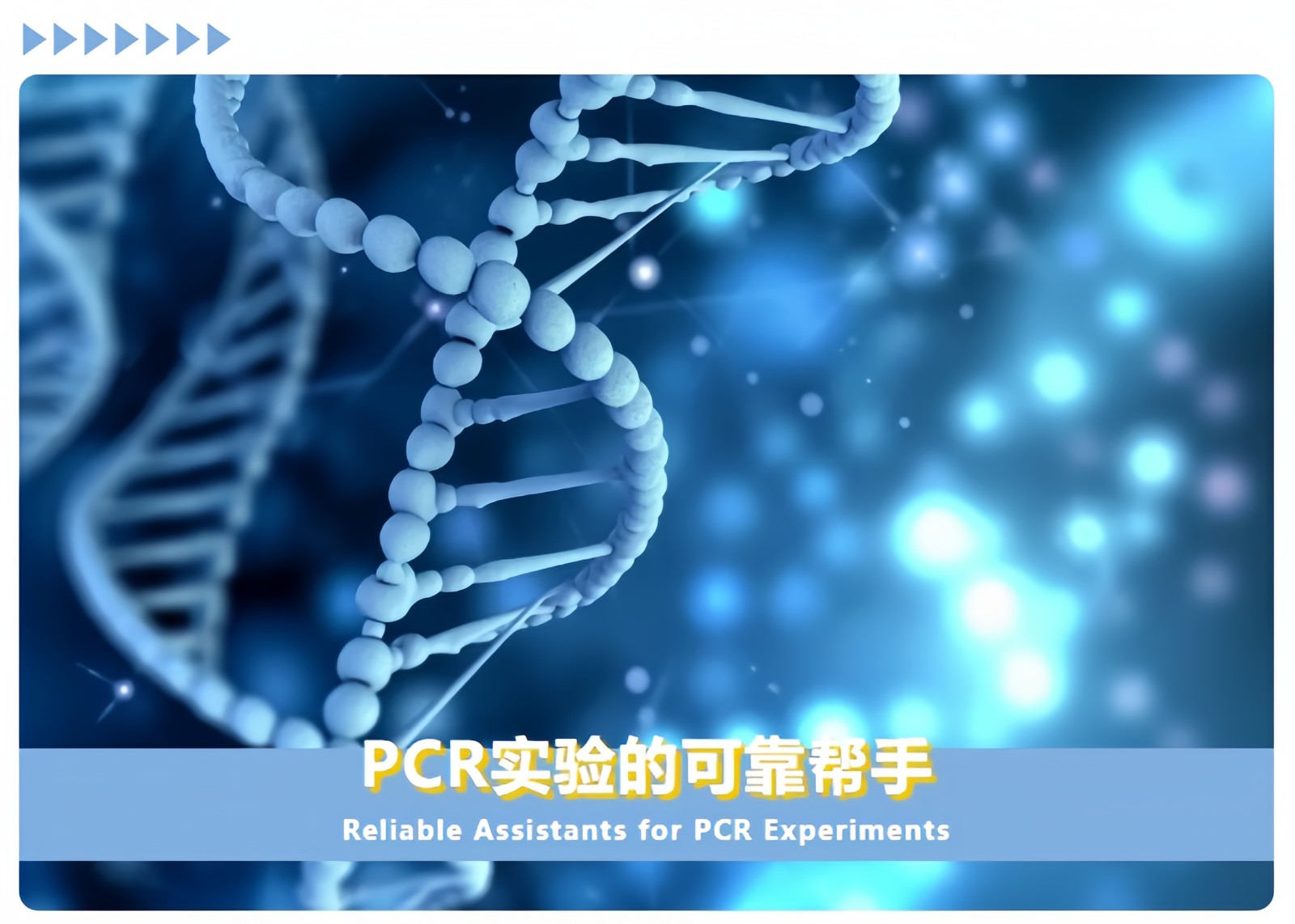 1712625162720916.jpg 微信圖片_20240409091215.jpg