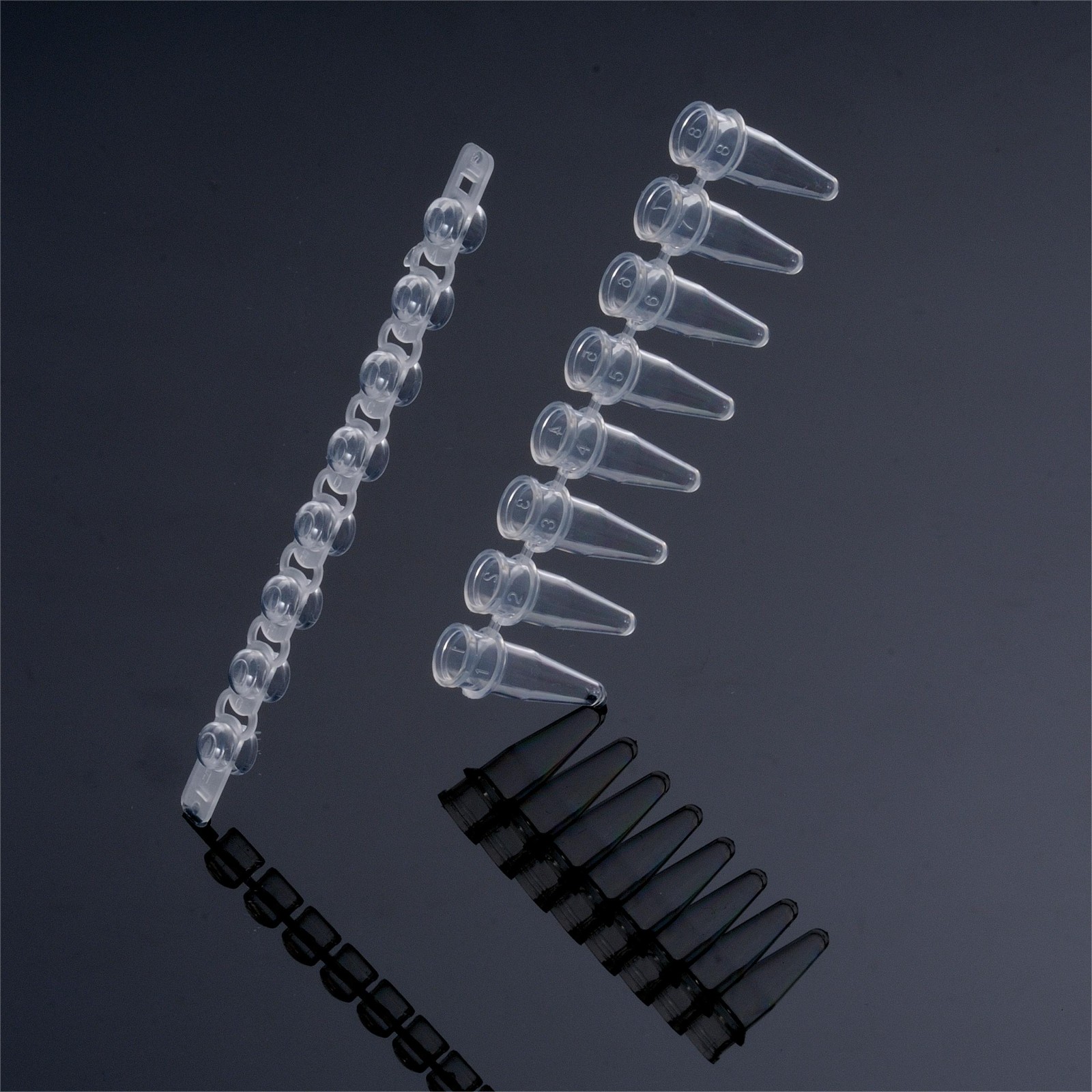 1712626104399028.jpg 1712626104399028.jpg