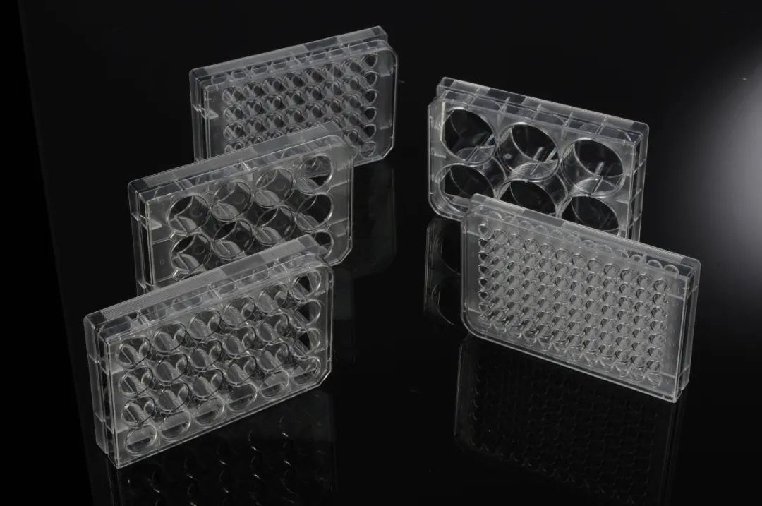 1717145652564123.png 1717145652564123.png