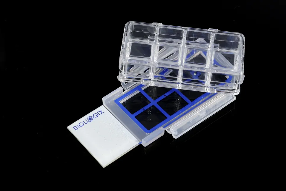 1717145738896036.png 1717145738896036.png