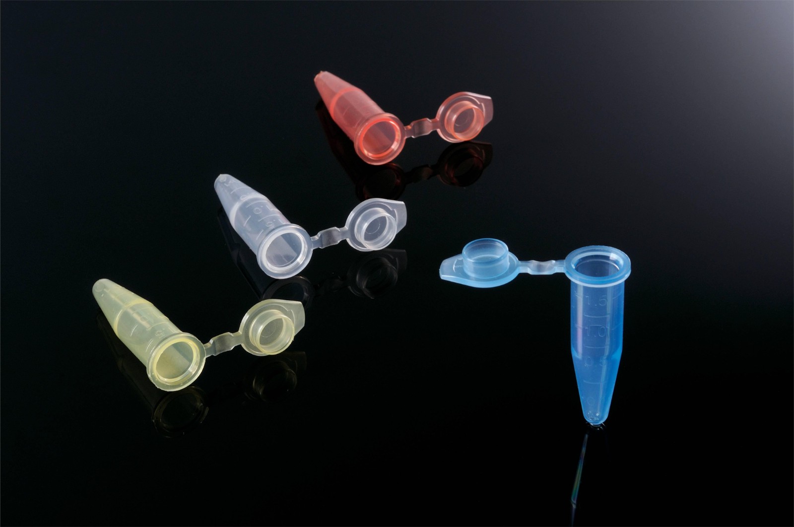 1722826403598640.jpg 1722826403598640.jpg