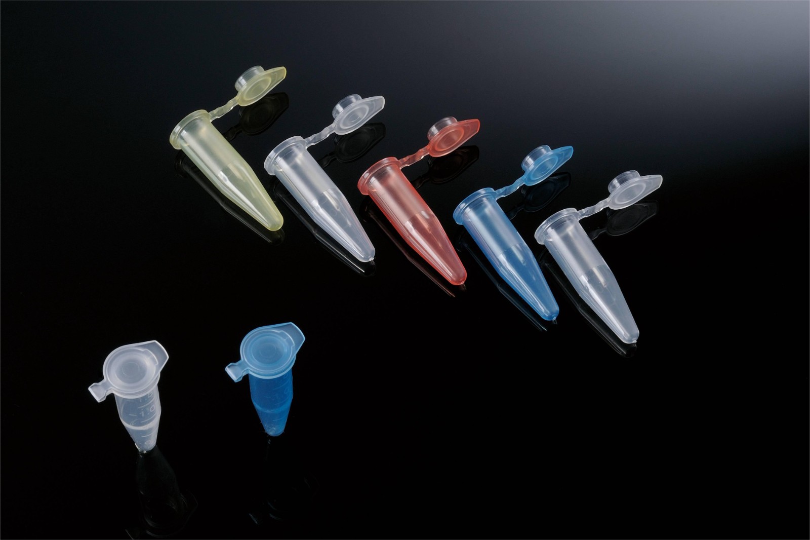 1722826404929518.jpg 1722826404929518.jpg