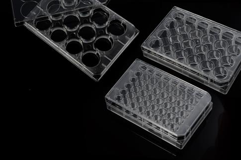 1723787389125241.jpg 微信圖片_20240816134921.jpg