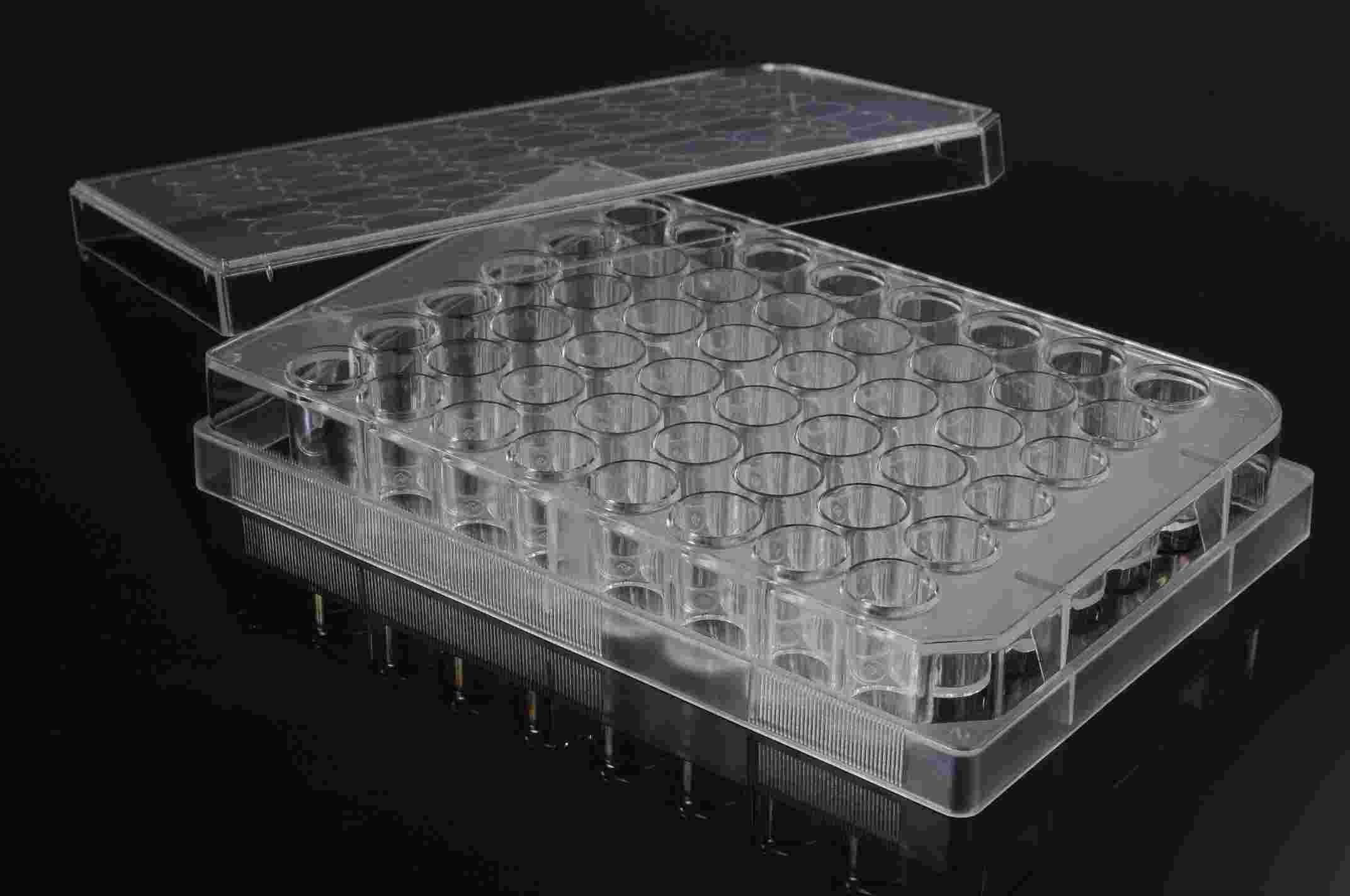 1725612423582505.jpg 1725612423582505.jpg