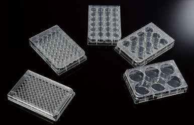 1725612663342534.png 微信圖片_20240906165051.png