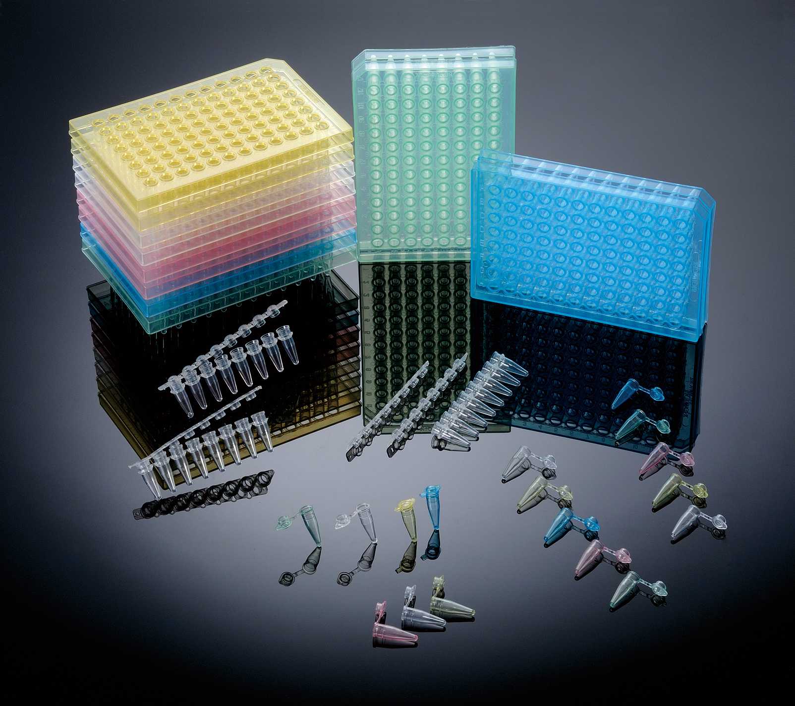 1727590133578134.jpg 1727590133578134.jpg