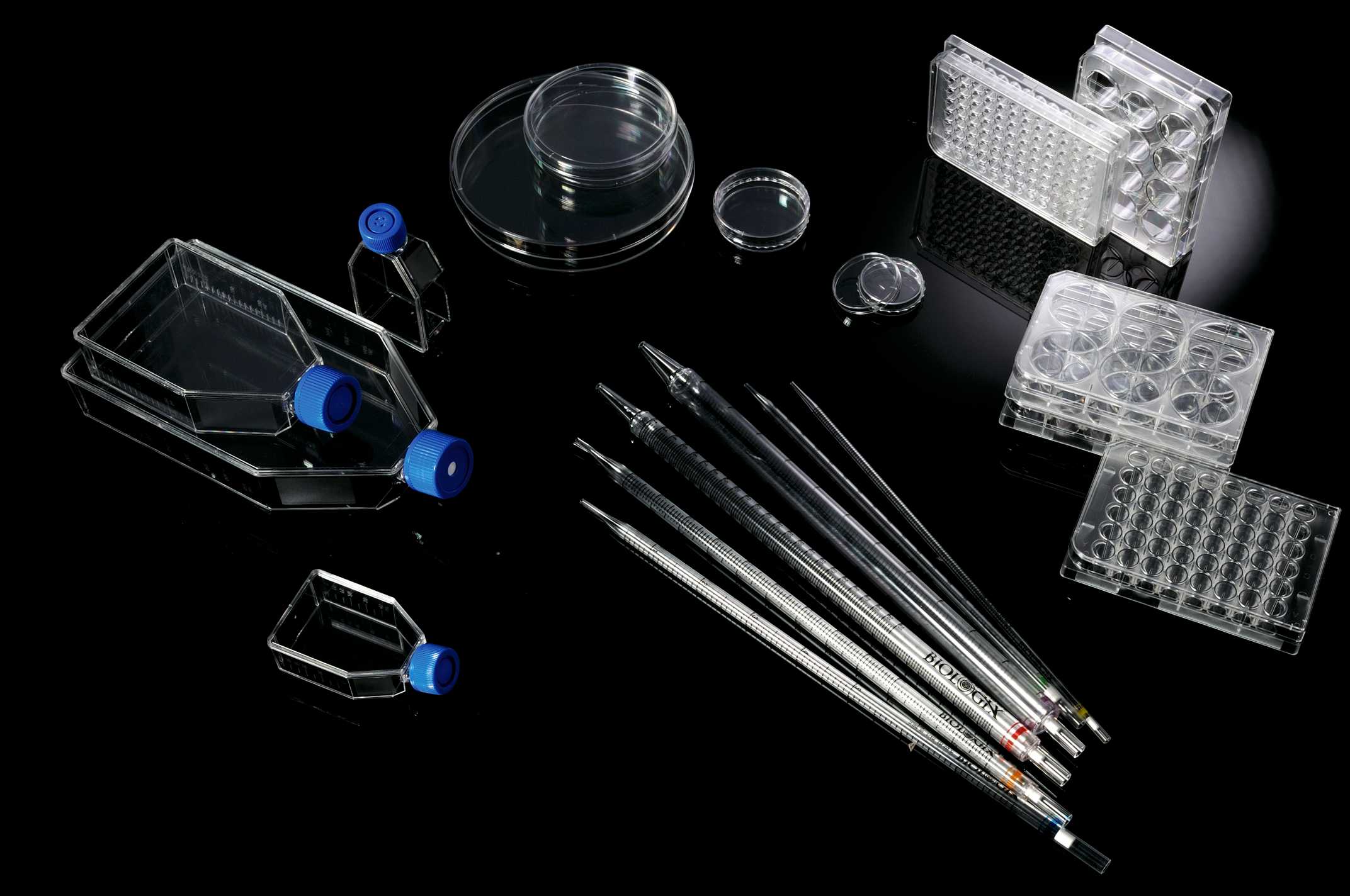 1727590205512972.jpg 1727590205512972.jpg