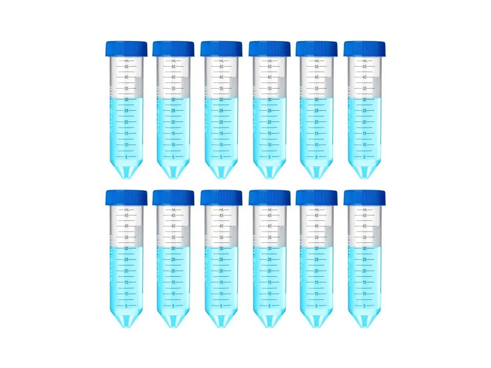 1729664316500316.jpg 640.jpg