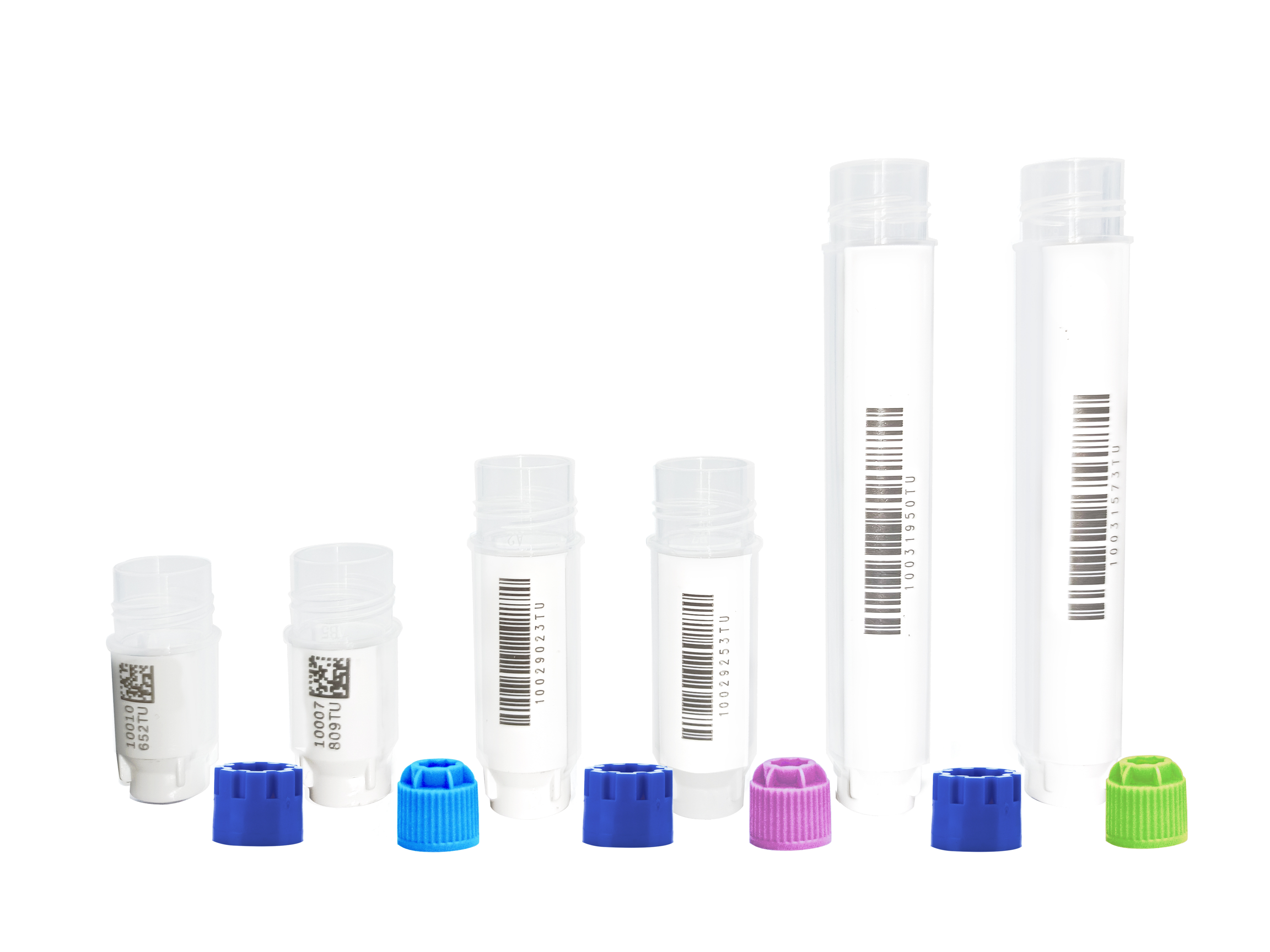 1730792549824975.png 1111111(1).png