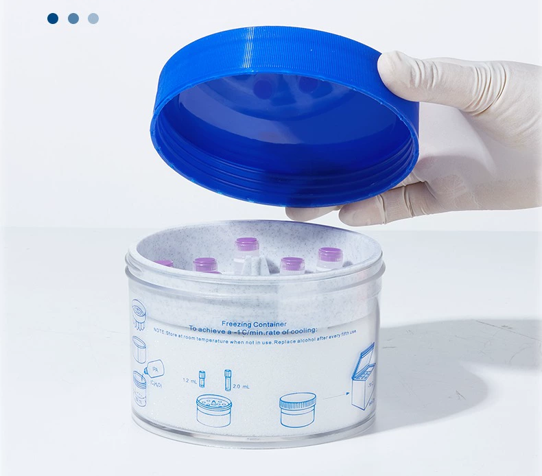 1732584472491989.png 1732584472491989.png