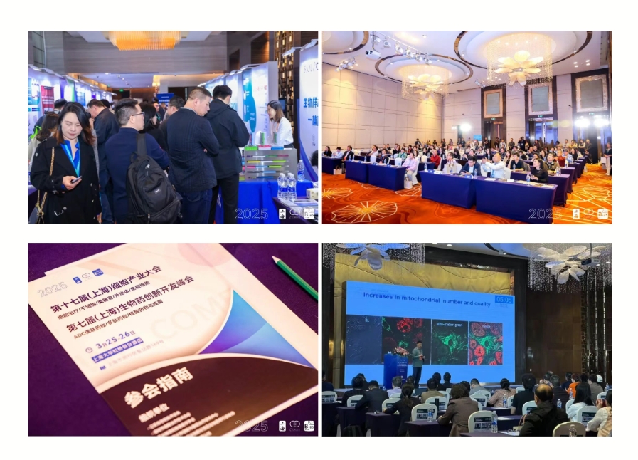 1743063416725102.png 微信截圖_20250327161647.png