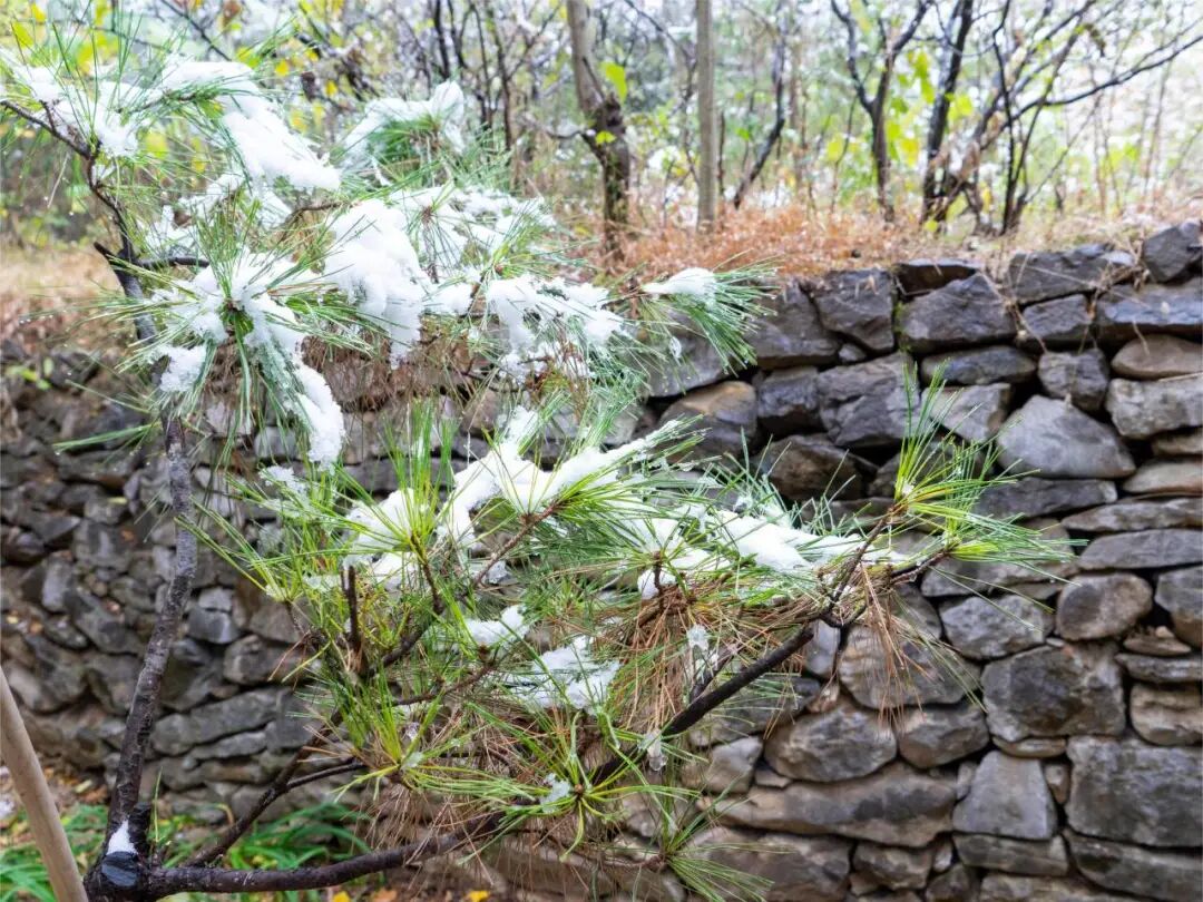 1765934711847753.jpg 640 (2).jpg