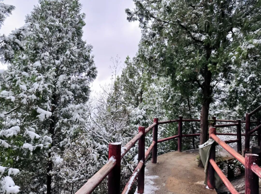 1765934786393895.png ScreenShot_2025-12-17_092615_398.png