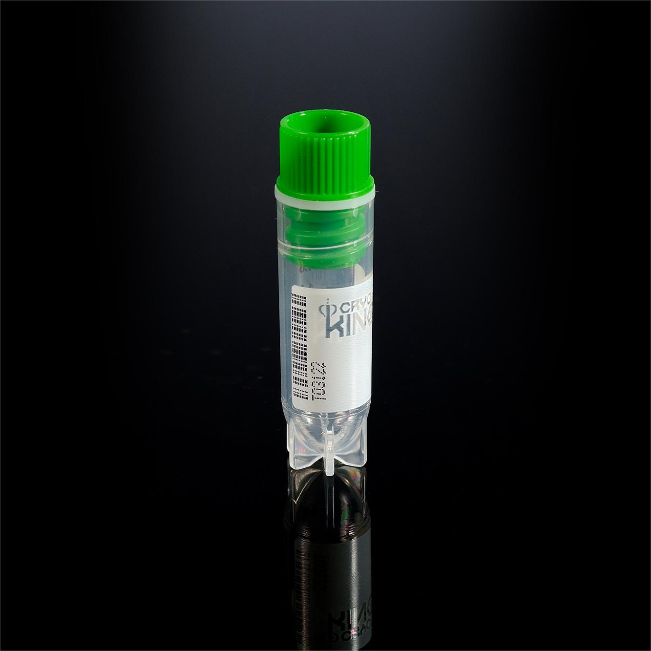 2ml內旋側碼凍存管-常規(guī)型